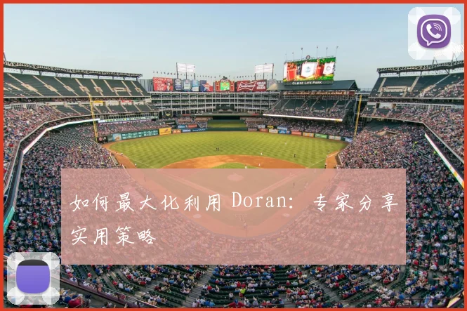 如何最大化利用 Doran:专家分享实用策略