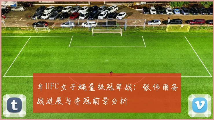 年UFC女子蝇量级冠军战:张伟丽备战进展与夺冠前景分析