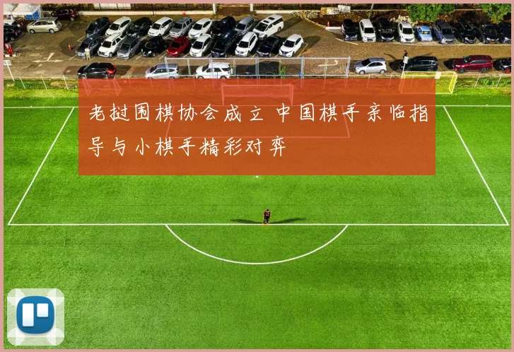 老挝围棋协会成立 中国棋手亲临指导与小棋手精彩对弈
