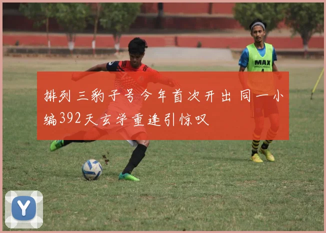 排列三豹子号今年首次开出 同一小编392天玄学重逢引惊叹
