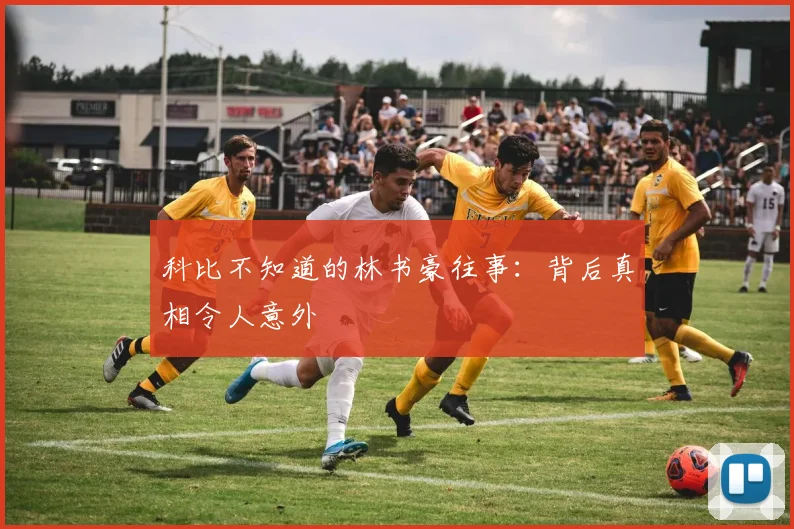 科比不知道的林书豪往事:背后真相令人意外
