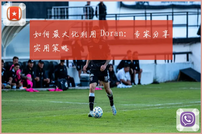 如何最大化利用 Doran：专家分享实用策略